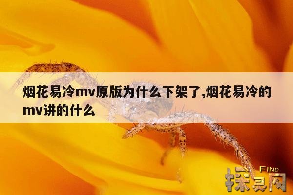 烟花易冷mv原版为什么下架了,烟花易冷的mv讲的什么