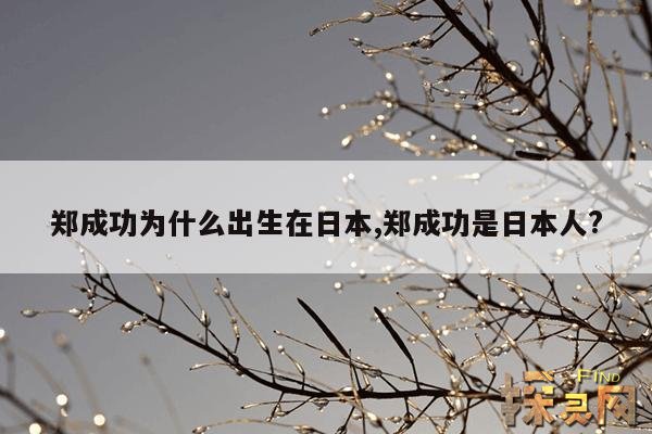 郑成功为什么出生在日本,郑成功是日本人?