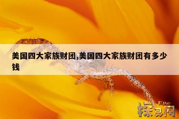 美国四大家族财团,美国四大家族财团有多少钱