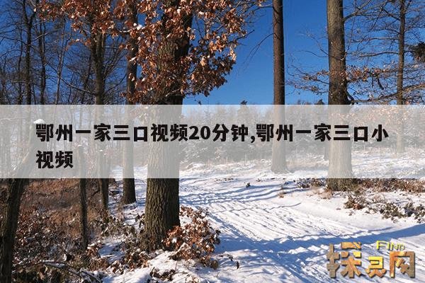 鄂州一家三口视频20分钟,鄂州一家三口小视频