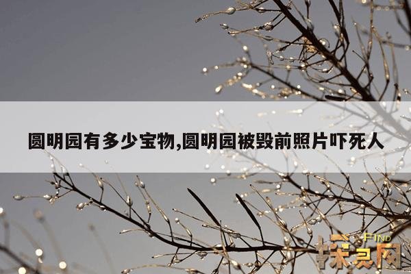 圆明园有多少宝物,圆明园被毁前照片吓死人