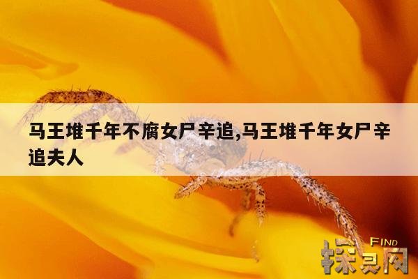 马王堆千年不腐女尸辛追,马王堆千年女尸辛追夫人