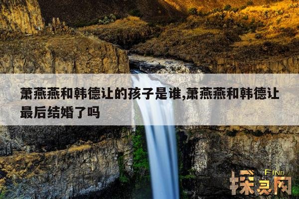 萧燕燕和韩德让的孩子是谁,萧燕燕和韩德让最后结婚了吗