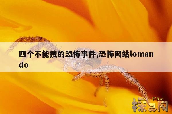 四个不能搜的恐怖事件,恐怖网站lomando