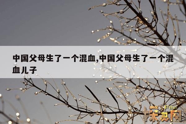 中国父母生了一个混血,中国父母生了一个混血儿子