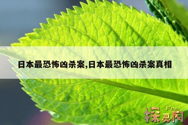 日本最恐怖凶杀案,日本最恐怖凶杀案真相