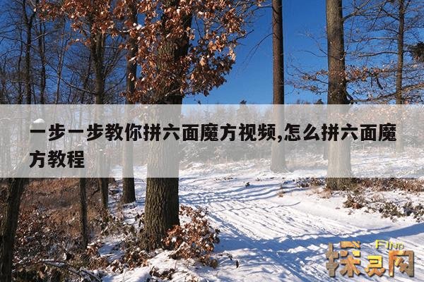 一步一步教你拼六面魔方视频,怎么拼六面魔方教程