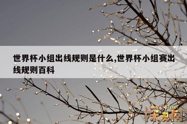 世界杯小组出线规则是什么,世界杯小组赛出线规则百科