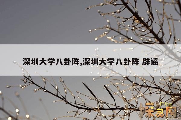 深圳大学八卦阵,深圳大学八卦阵 辟谣