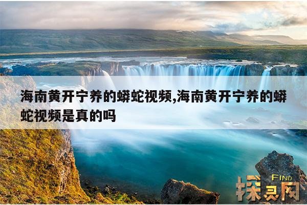 海南黄开宁养的蟒蛇视频,海南黄开宁养的蟒蛇视频是真的吗