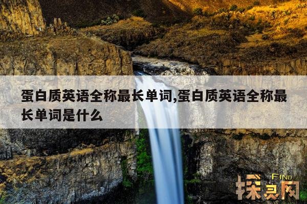 蛋白质英语全称最长单词,蛋白质英语全称最长单词是什么