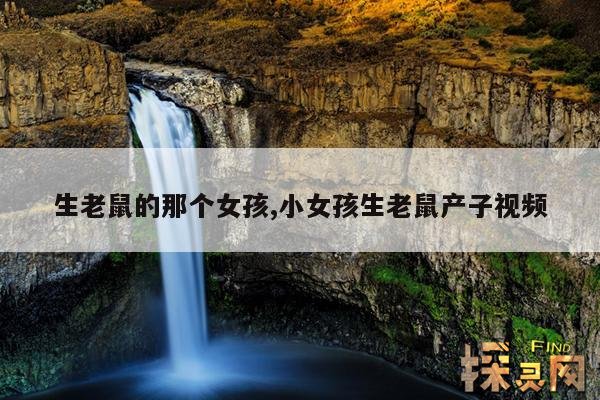 生老鼠的那个女孩,小女孩生老鼠产子视频