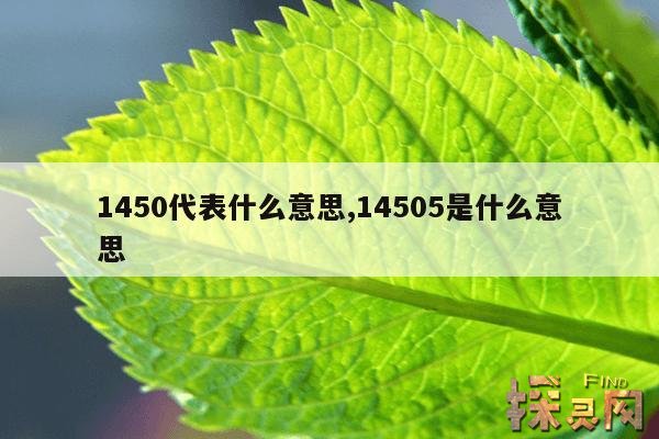 1450代表什么意思,14505是什么意思