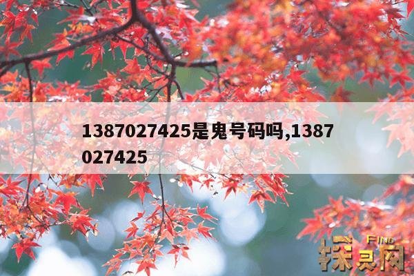 1387027425是鬼号码吗,1387027425