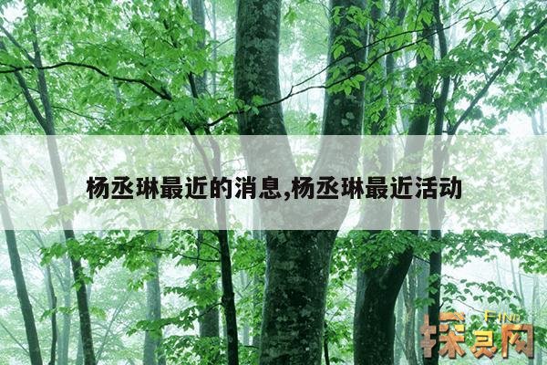 杨丞琳最近的消息,杨丞琳最近活动