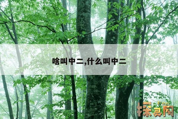 啥叫中二,什么叫中二