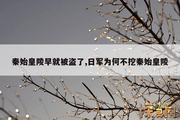 秦始皇陵早就被盗了,日军为何不挖秦始皇陵