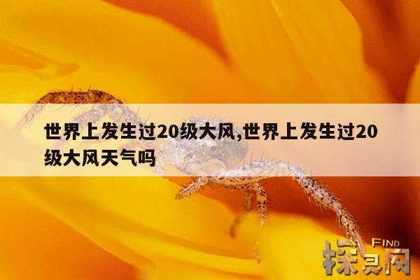 世界上发生过20级大风,世界上发生过20级大风天气吗