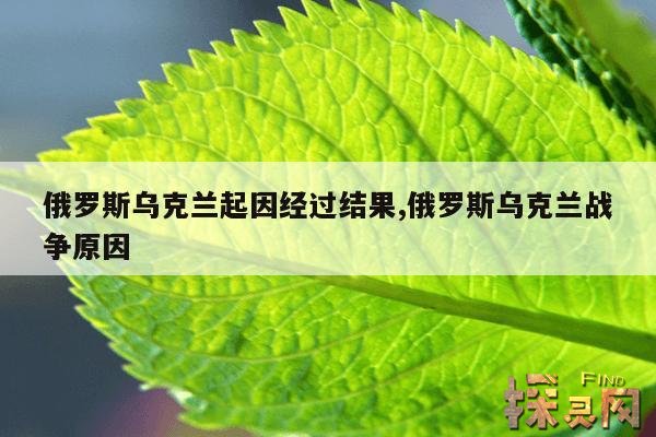 俄罗斯乌克兰起因经过结果,俄罗斯乌克兰战争原因