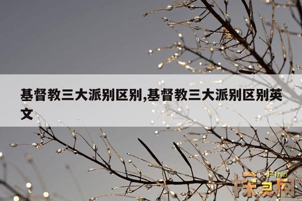 基督教三大派别区别,基督教三大派别区别英文