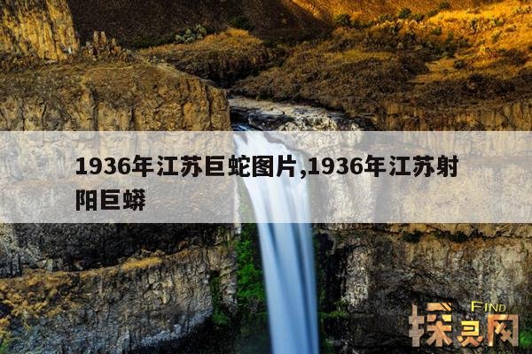 1936年江苏巨蛇图片,1936年江苏射阳巨蟒