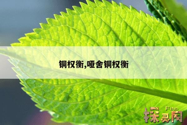 铜权衡,哑舍铜权衡