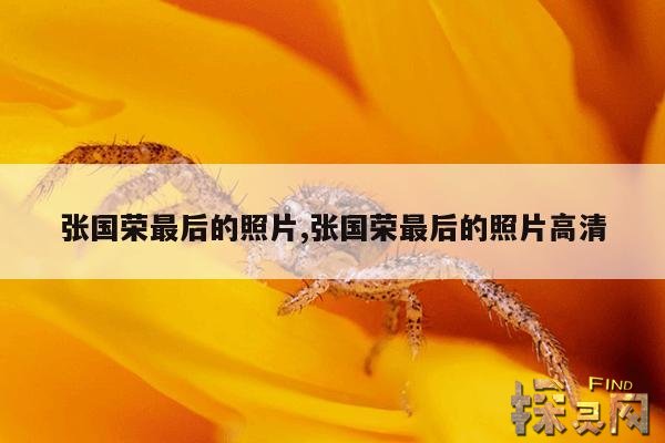 张国荣最后的照片,张国荣最后的照片高清