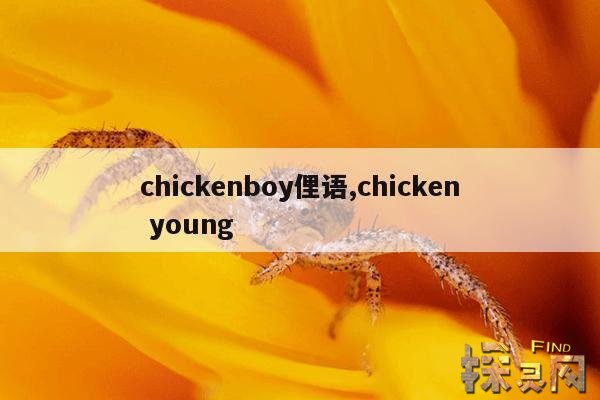 chickenboy俚语,chicken young