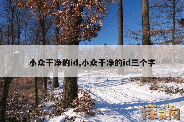 小众干净的id,小众干净的id三个字