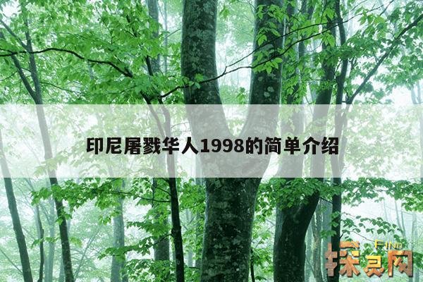 印尼屠戮华人1998的简单介绍