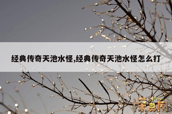 经典传奇天池水怪,经典传奇天池水怪怎么打