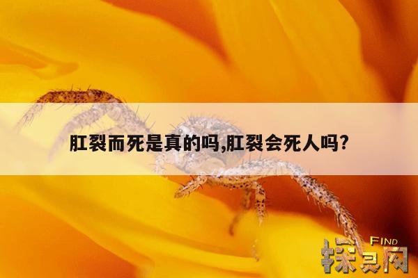 肛裂而死是真的吗,肛裂会死人吗?