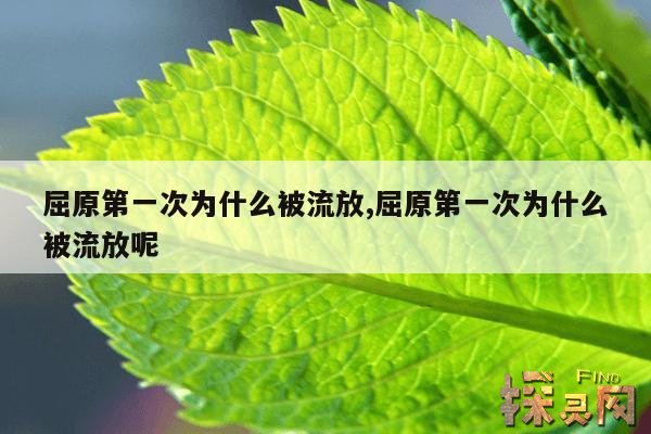 屈原第一次为什么被流放,屈原第一次为什么被流放呢