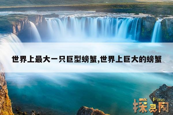 世界上最大一只巨型螃蟹,世界上巨大的螃蟹