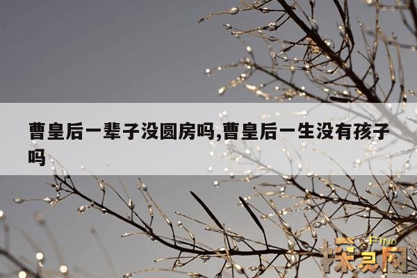 曹皇后一辈子没圆房吗,曹皇后一生没有孩子吗
