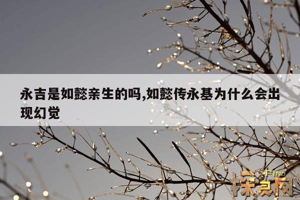 永吉是如懿亲生的吗,如懿传永基为什么会出现幻觉
