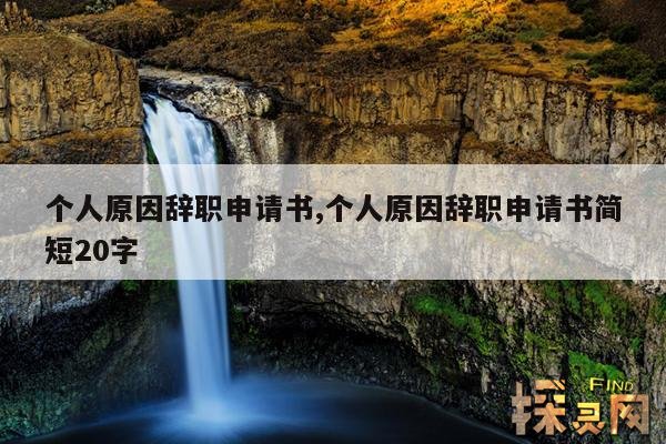 个人原因辞职申请书,个人原因辞职申请书简短20字