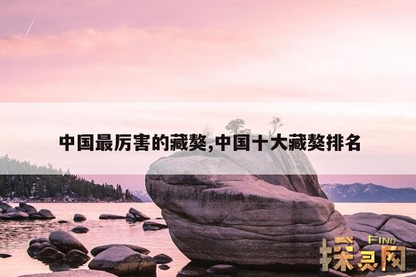 中国最厉害的藏獒,中国十大藏獒排名