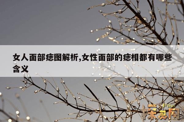 女人面部痣图解析,女性面部的痣相都有哪些含义