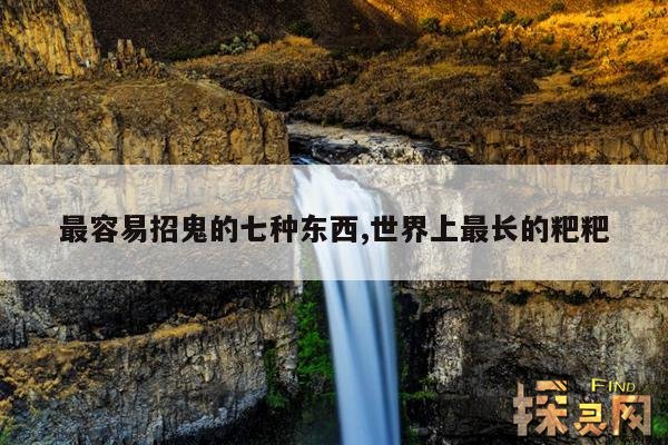 最容易招鬼的七种东西,世界上最长的粑粑