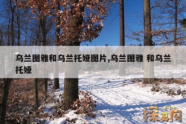 乌兰图雅和乌兰托娅图片,乌兰图雅 和乌兰托娅