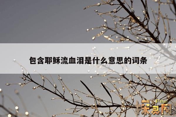 包含耶稣流血泪是什么意思的词条
