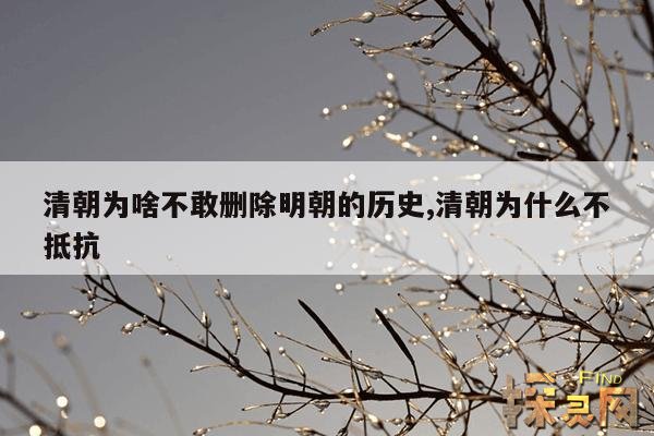 清朝为啥不敢删除明朝的历史,清朝为什么不抵抗