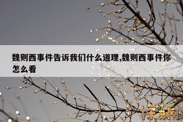 魏则西事件告诉我们什么道理,魏则西事件你怎么看