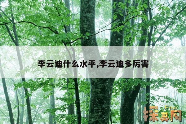 李云迪什么水平,李云迪多厉害