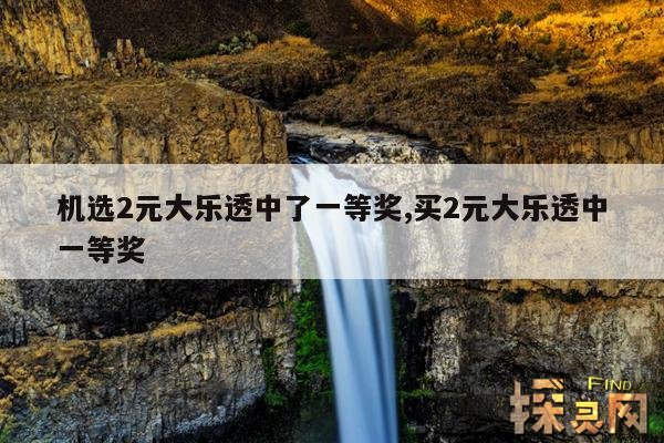 机选2元大乐透中了一等奖,买2元大乐透中一等奖