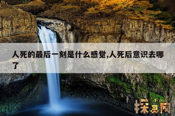 人死的最后一刻是什么感觉,人死后意识去哪了