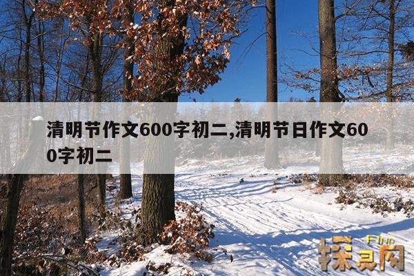 清明节作文600字初二,清明节日作文600字初二