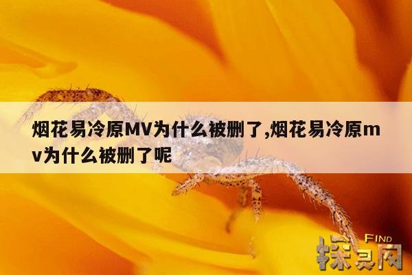 烟花易冷原MV为什么被删了,烟花易冷原mv为什么被删了呢