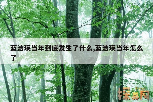 蓝洁瑛当年到底发生了什么,蓝洁瑛当年怎么了